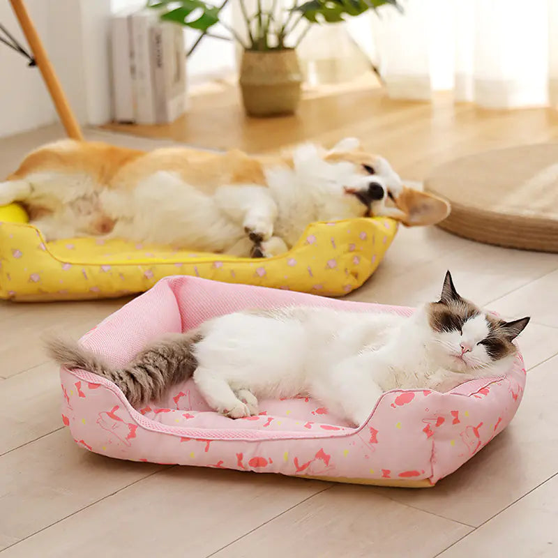 New Summer Dog Bed - Breathable & Moisture-proof
